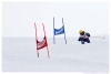 Skirennen - Allmendhubel